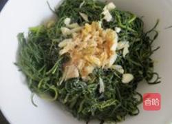 凉拌柳蒿芽的做法图解4