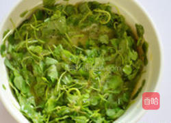 苜蓿菜摊蛋饼的做法图解2