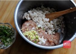 菱角鲜肉包的做法图解2