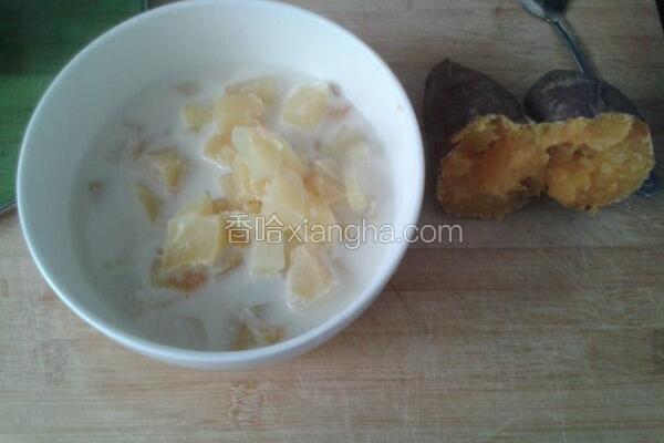 牛奶红枣炖青木瓜
