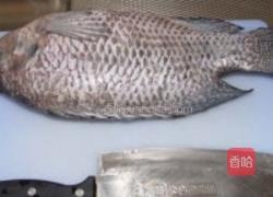炖鱼汤的做法图解1