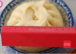 茴香大包的做法图解18