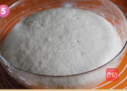 茴香大包的做法图解5