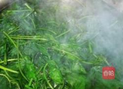 凉拌刺五加的做法图解1