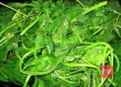 凉拌刺五加的做法图解2