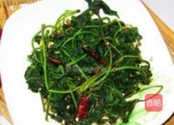 凉拌刺五加的做法图解3