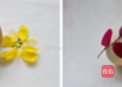 艾叶大蒜煮鸡蛋的做法图解5