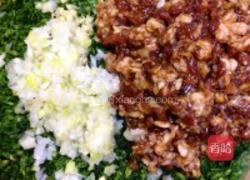 苜蓿肉饺子的做法图解5
