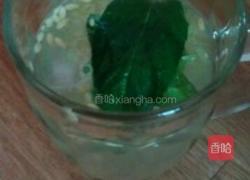 清凉薄荷饮的做法图解3