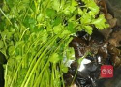 香菜拌腰花的做法图解2