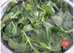 凉拌腰果穿心莲的做法图解1