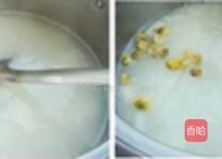 雪梨菊花粥的做法图解3