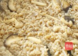 菌菇焖饭的做法图解7