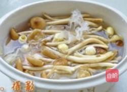 白莲茶树菇乳鸽汤的做法图解4
