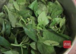 九层塔炒蟹肉的做法图解1