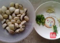 姜丝蛤蜊粥的做法图解1