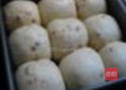 榛子小餐包的做法图解6