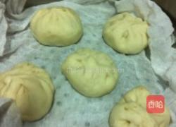 荠菜肉包的做法图解6