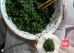 猪肉茴香水饺的做法图解7