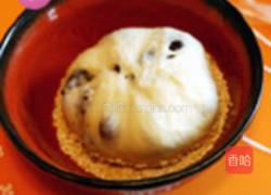 可可卡士达花形面包的做法图解7