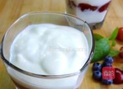 蛋松果香酸奶杯的做法图解9