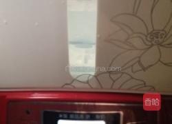 禽流感之川贝炖雪梨的做法图解4