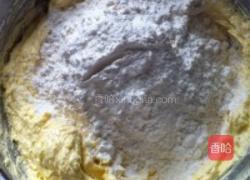 蛋黄提子酥的做法图解6