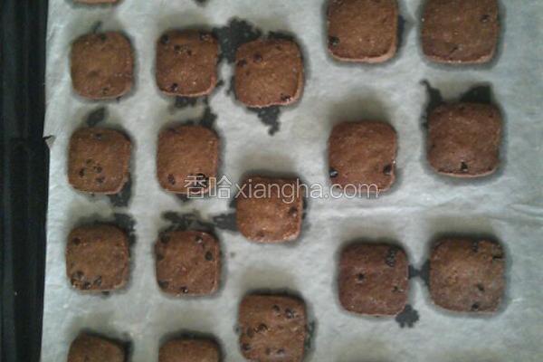 可可巧克力豆饼干