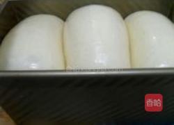 香草卡仕达吐司的做法图解21