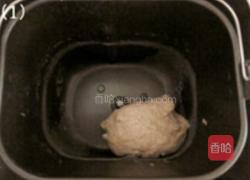 全麦蔓越莓面包的做法图解1