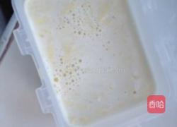 榴莲布丁的做法图解4