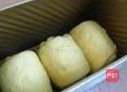 蜂蜜蛋黄吐司的做法图解6