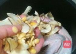 海底椰老鸭汤的做法图解4