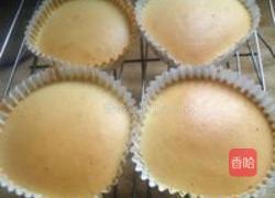 自制奶酪做乳酪蛋糕的做法图解15