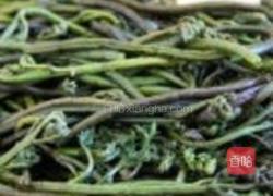 香炒蕨菜的做法图解1