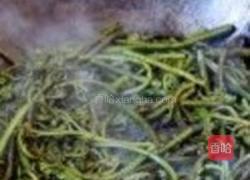 香炒蕨菜的做法图解3