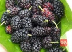 新鲜桑葚酒的做法图解1