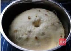 中种奶香葡萄干吐司的做法图解4