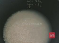 金枪鱼辣白菜紫菜包饭的做法图解1