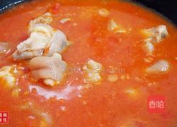 番茄猪蹄汤的做法图解8