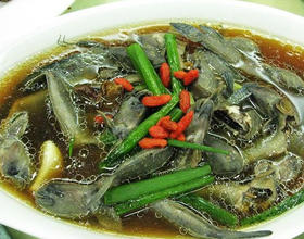 清炖跳跳鱼[图]