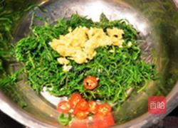 珍选捞汁海蓬菜的做法图解4