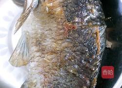 清炖鲫鱼汤的做法图解2