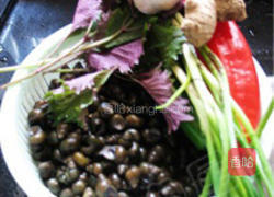 紫苏炒青螺的做法图解1