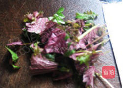 紫苏炒青螺的做法图解5