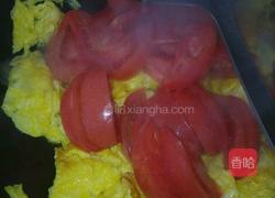 西红柿炒鸡蛋的做法图解5