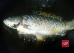 口味鲫鱼的做法图解2