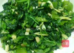 小炒南瓜叶的做法图解7