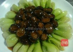 鲍汁扒花菇的做法图解5