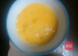 雷州半岛风味2吃的做法图解4